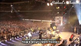 Обложка X JAPAN X Born To Be Free LIVE 2010 Korean English Sub Скачать X JAPAN X Born To Be Free LIVE 2010 Korean English Sub