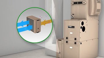 Protect Your INvironment With Indoor Air Quality