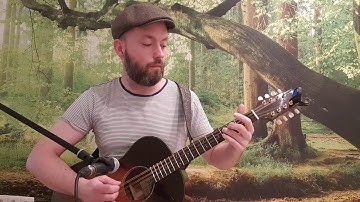Hawaian traditional on my octave mandolin