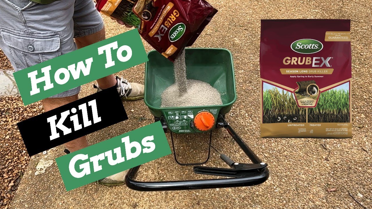 How To Kill Grubs In Your Lawn Scotts GrubEx YouTube