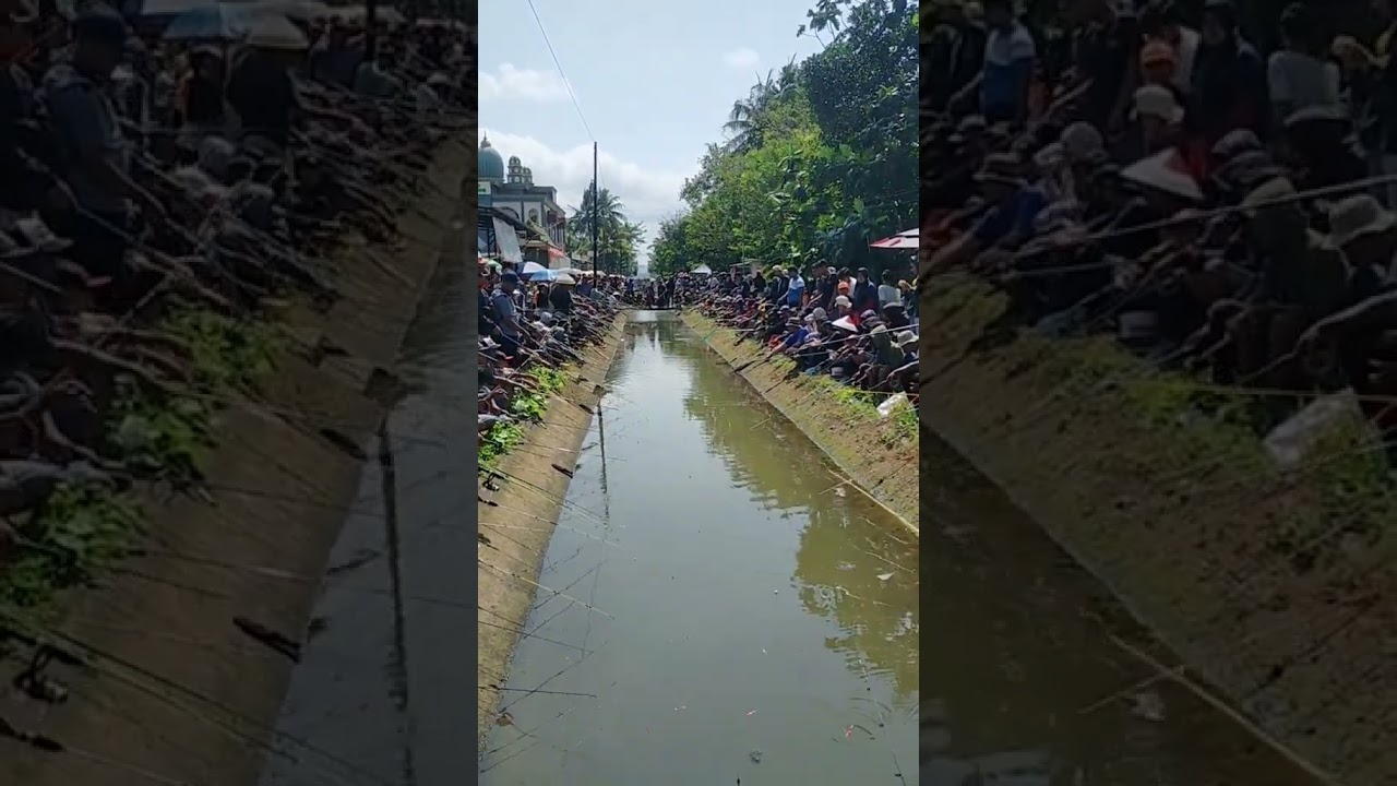 Metin2 Fishing event