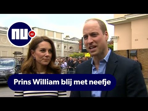 Video: Prins Harry En Prins William Deel Baie Verskillende Huldeblyke Aan Prins Philip