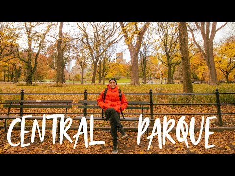 Video: 12 cosas que hacer en Central Park