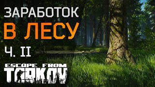 Заработок на локации Лес в Escape from Tarkov. Места интереса!