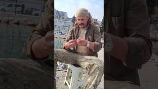 Midye Ile Mırmır Tutma Teknikleri