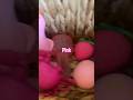 #fidgettoys #toys #squishyhaul