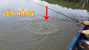 Nhịp Sống Miền Tây | Câu cá tra sông cái bé giữa cơn mưa đầu mùa