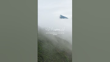 وقالوا لولا أنزل عليه آيات من ربه ۖ قل إنما الآيات عند الله وإنما أنا نذير مبين