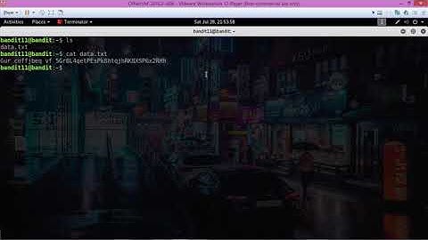 OverTheWire Bandit Level 11 Solution. Level 11-12 Walkthrough.