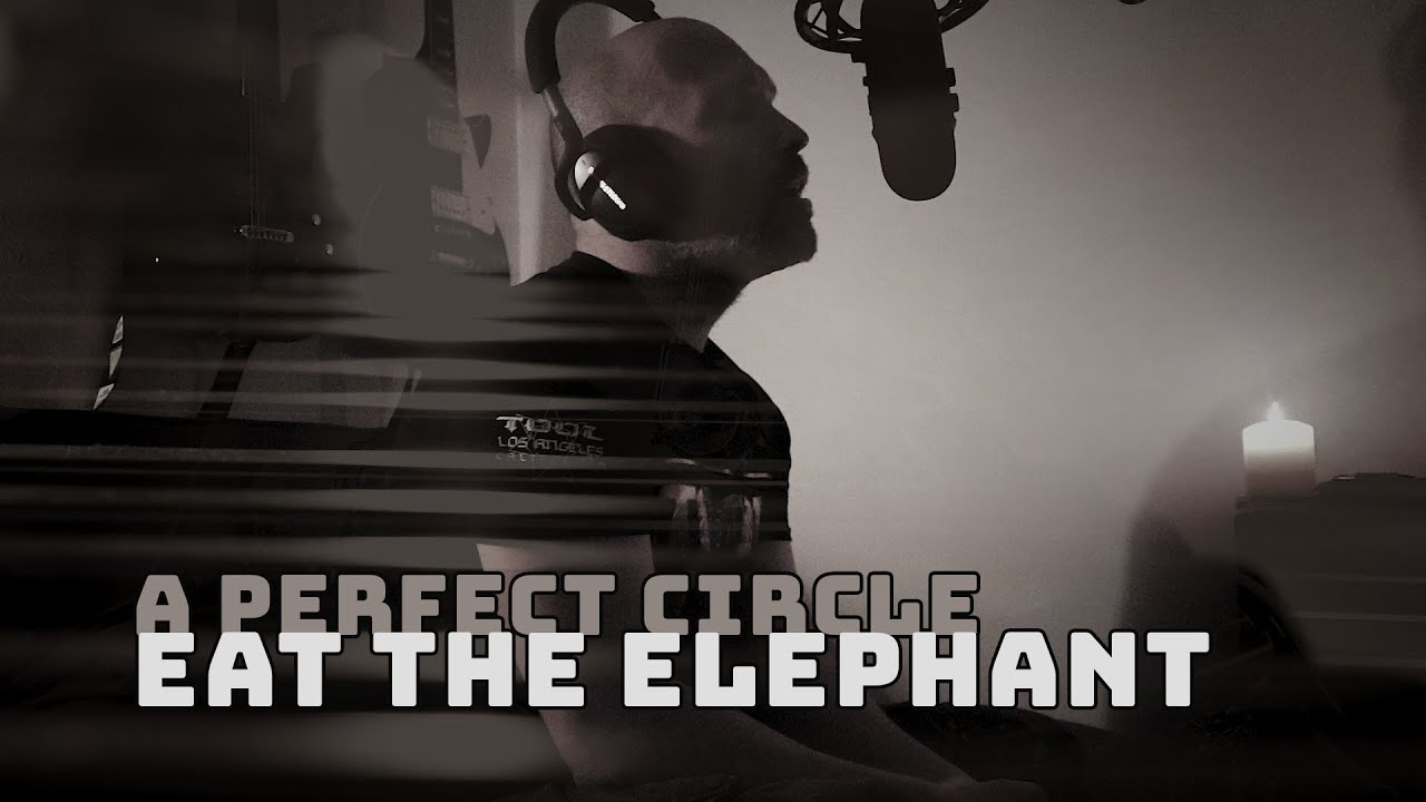 A Perfect Circle, Eat The Elephant (Cover) YouTube