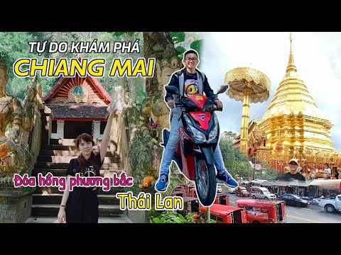 Video: Chùa Wat Chedi Luang ở Chiang Mai: Hướng dẫn đầy đủ