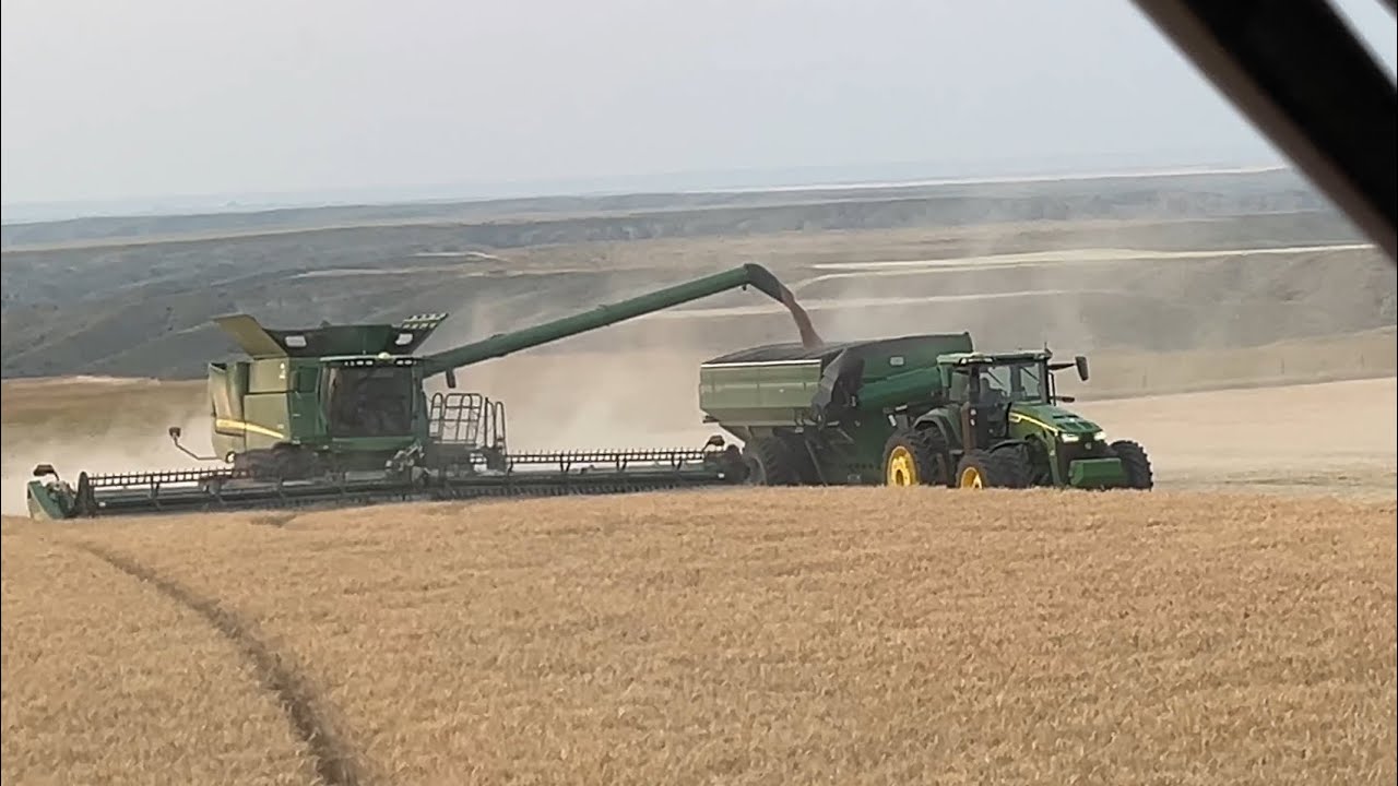 День 1 (23 июля) / 2024 Хайвуд, Монтана Харвест