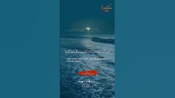 تلاوة من الصفحه 82 سورة النساء 🥺♥