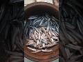 ₹50 ரூபாய்க்கு இவ்ளோ நெத்திலி மீனா? 😱 சீலா மீன் துண்டு வேட்டை 🐟