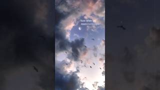 meri mehboba lyrics song by vafi #youtubemusic #amazonmusic #love #music #musicmg #sad #viralshorts