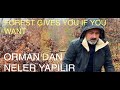 BİR HUZUR VİDEOSU”DAĞ’EVİ🏡🕯A HAPPY VIDEO IN THE MOUNTAIN HOUSE #kamp #doğa #orman #yemek #film