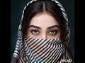 نجیب کشمی دلبر من از باغ و برامد