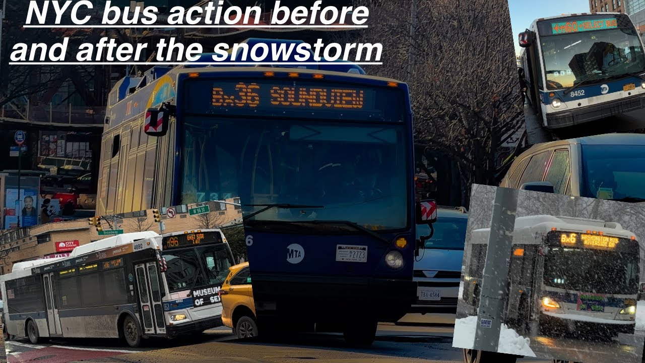 NYC Bus Action before and after the snowstorm