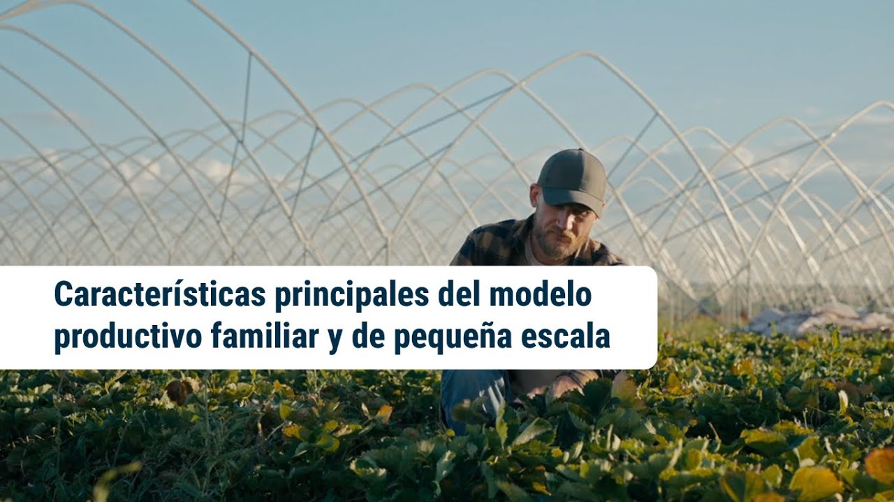 Características principales del modelo productivo familiar y de pequeña escala