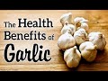 The Healing Power of Garlic &amp; Cooking Instructions