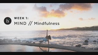 Beaming Meditation by Megan Monahan - BLOG POST LINKED BELOW