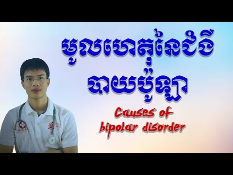 មូលហេតុនៃជំងឺបាយប៉ូឡា, Causes of bipolar disorder