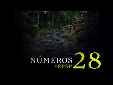 Números 28 - Pr. Suárez
