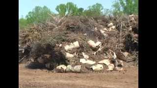 Compost 101:  How Composting Could Save Money and the Environment