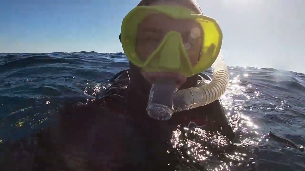 Flinders Reef Dive 27th April 2025
