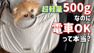 オススメの愛犬グッズ！超便利なスリングバッグは重さ超軽量500g！これで電車も乗れちゃうんです！