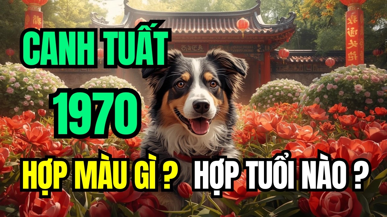 Tuổi Canh Tuất 1970, Mạng Thoa Xuyến Kim, Hé Lộ Màu Hợp, Màu Kỵ, Tuổi Hợp, Tuổi Xung Và Tài Lộc