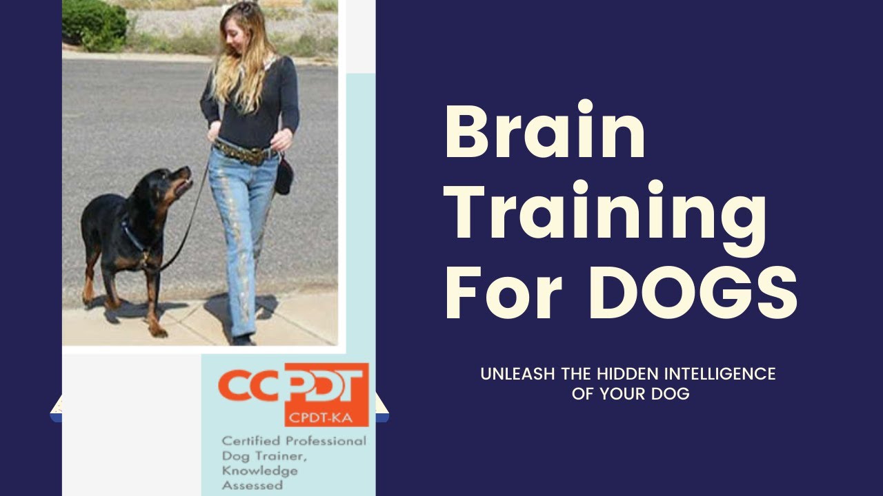 BRAIN TRAINING FOR DOGS