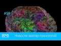 #59 Новости аватар-технологий / Ученые выяснили, где мозг «хранит слова»