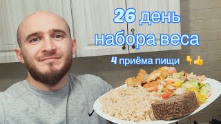 26 день набора веса. Что я ем чтобы набрать массу.