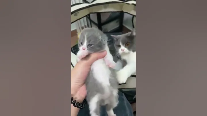 Momma says give me my baby back plz