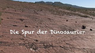 Die Spur der Dinosaurier - Dinosaur Tracks in Namibia