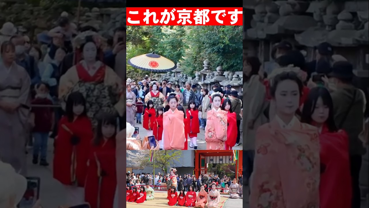 美しすぎる島原太夫の太夫道中奉納 石清水八幡宮