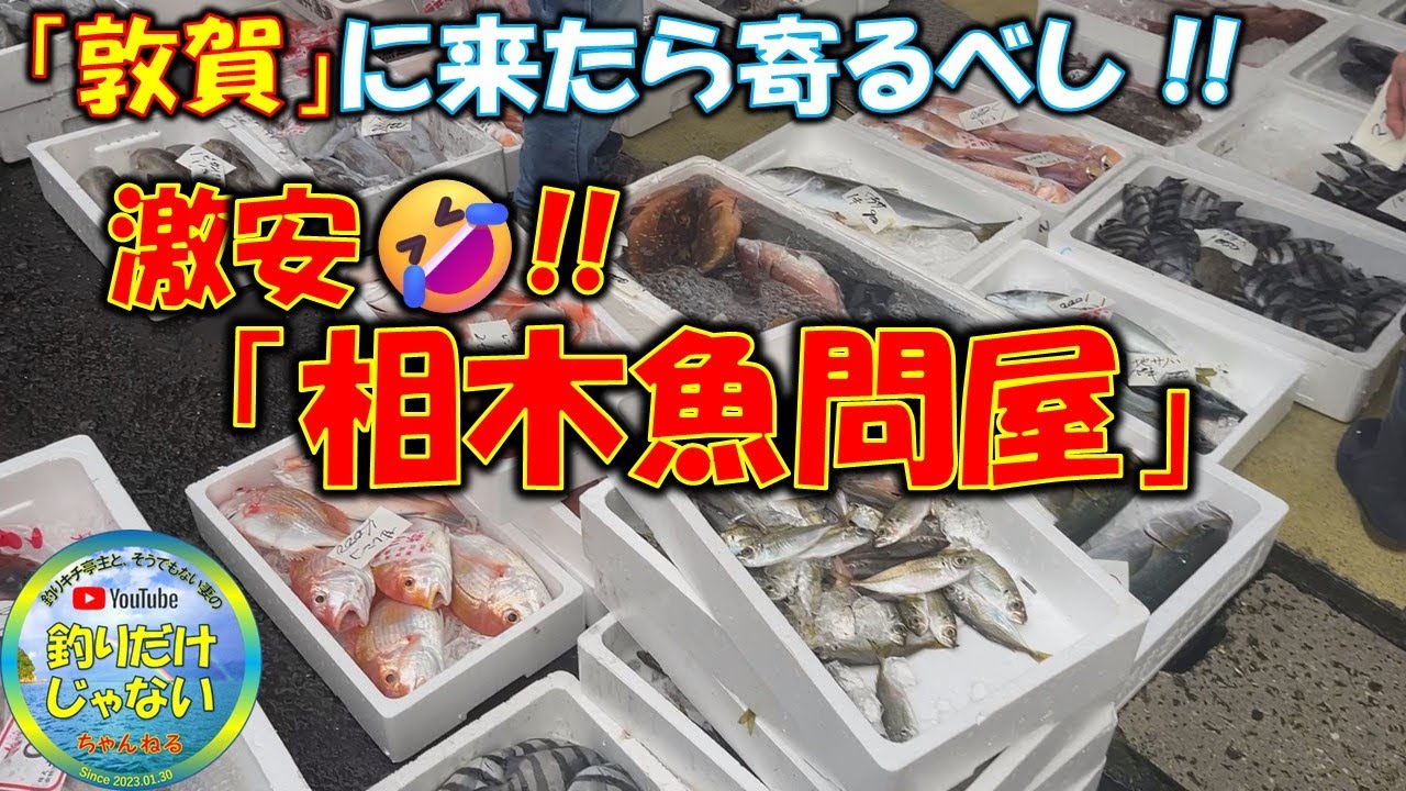 【激安店紹介】釣りに行くのがバカバカしくなるほど鮮魚が激安！！敦賀市、相木魚問屋！！日本海さかな街？そんなとこ、行ったらダメ！そこよりも、高品質・低価格で鮮魚が買える。