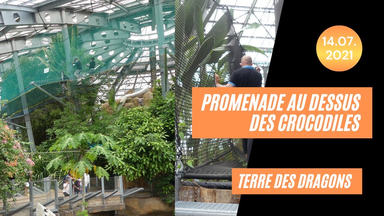 Terre de Dragons , au dessus des crocodiles