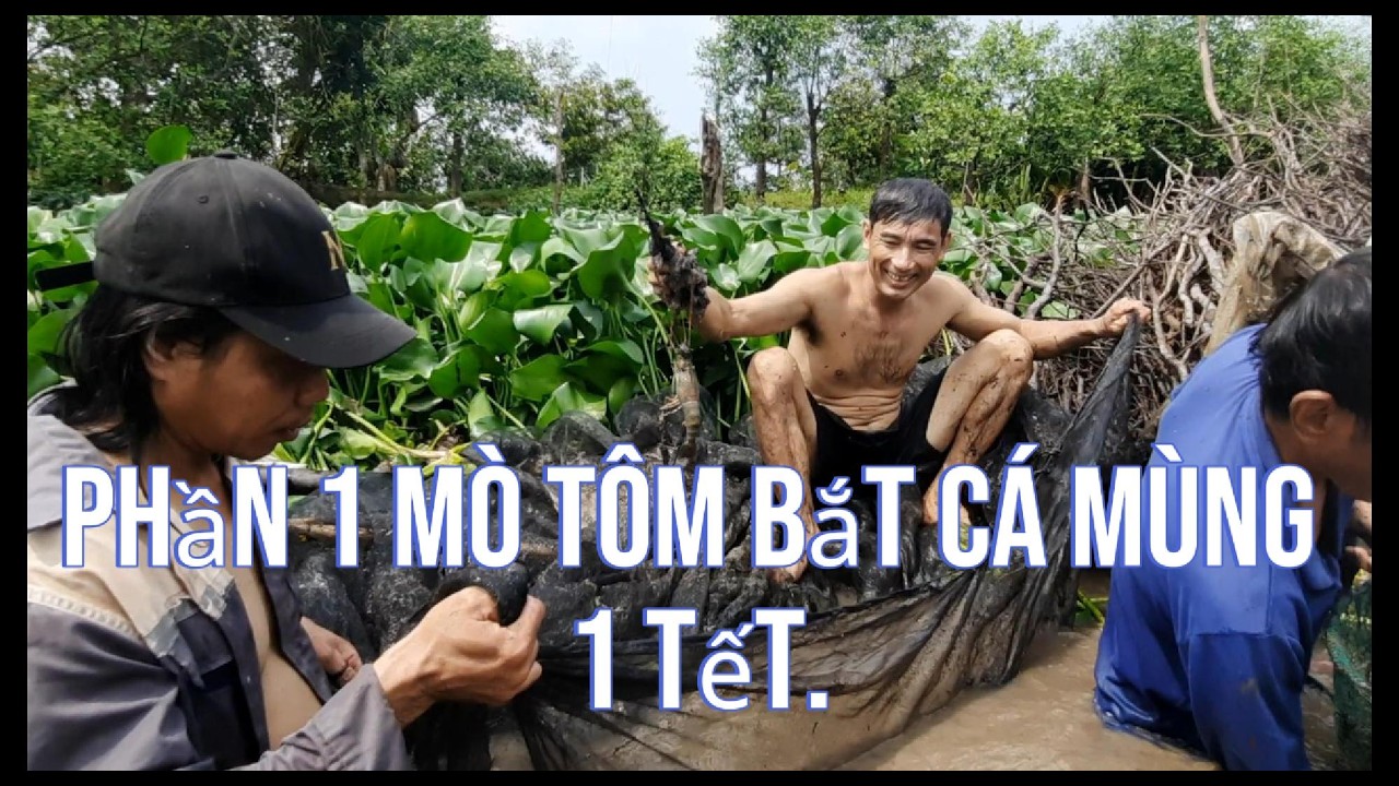 Miền tây ơi sao mà đã thế vậy,con nào con nấy to đùng#lamvanthua official#