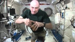 Space Physics: The Science of YoYo's in Zero Gravity | NASA ISS Space Station Microgravity Video