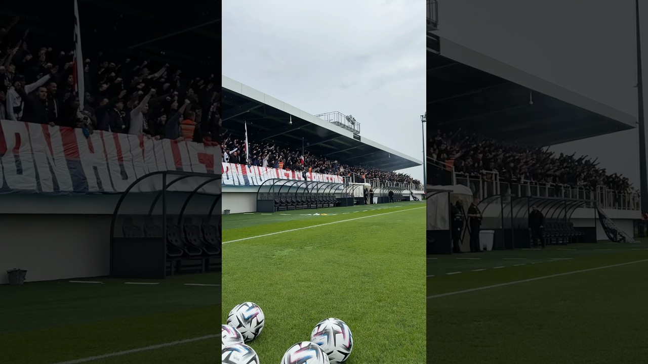 P.A.R.I.S 🔥❤️💙