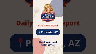 Phoenix Pollen Report 🌿 High Mulberry Alert (What You Need to Know)