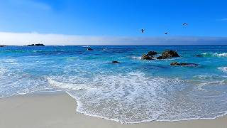 Ocean Therapy: 6 Hours of Relaxation on the California Coast