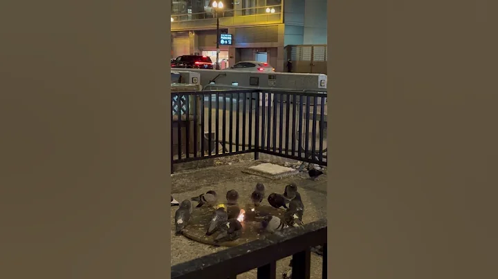 They’re plotting something I know it