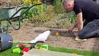 Helping Daddy In The Garden On Camping 🌞