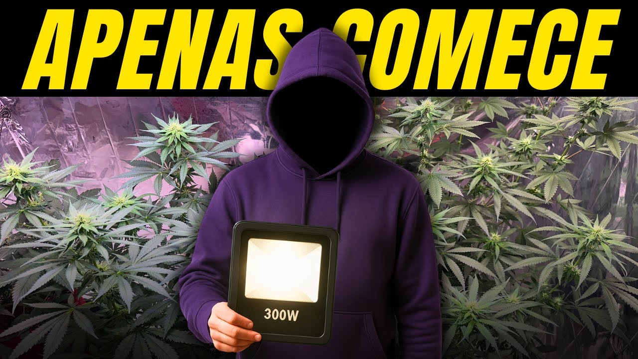 O PODER DE 1 REFLETOR DE JARDIM NO CULTIVO INDOOR (22 Dias de Flora)