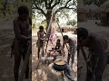 🔥 Preparing Giant Fresh Kill for the Big Village Feast #shorts #traditionalcooking  #triballife