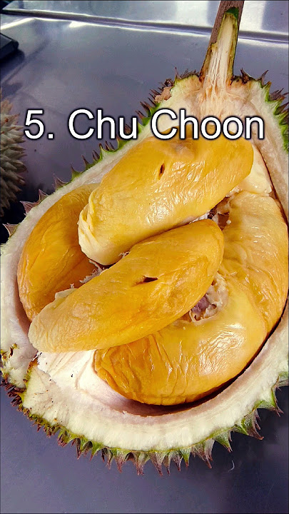 Tried 9 different Durians in one sitting! Which is your favorite? #BalikPulau Durians #durian