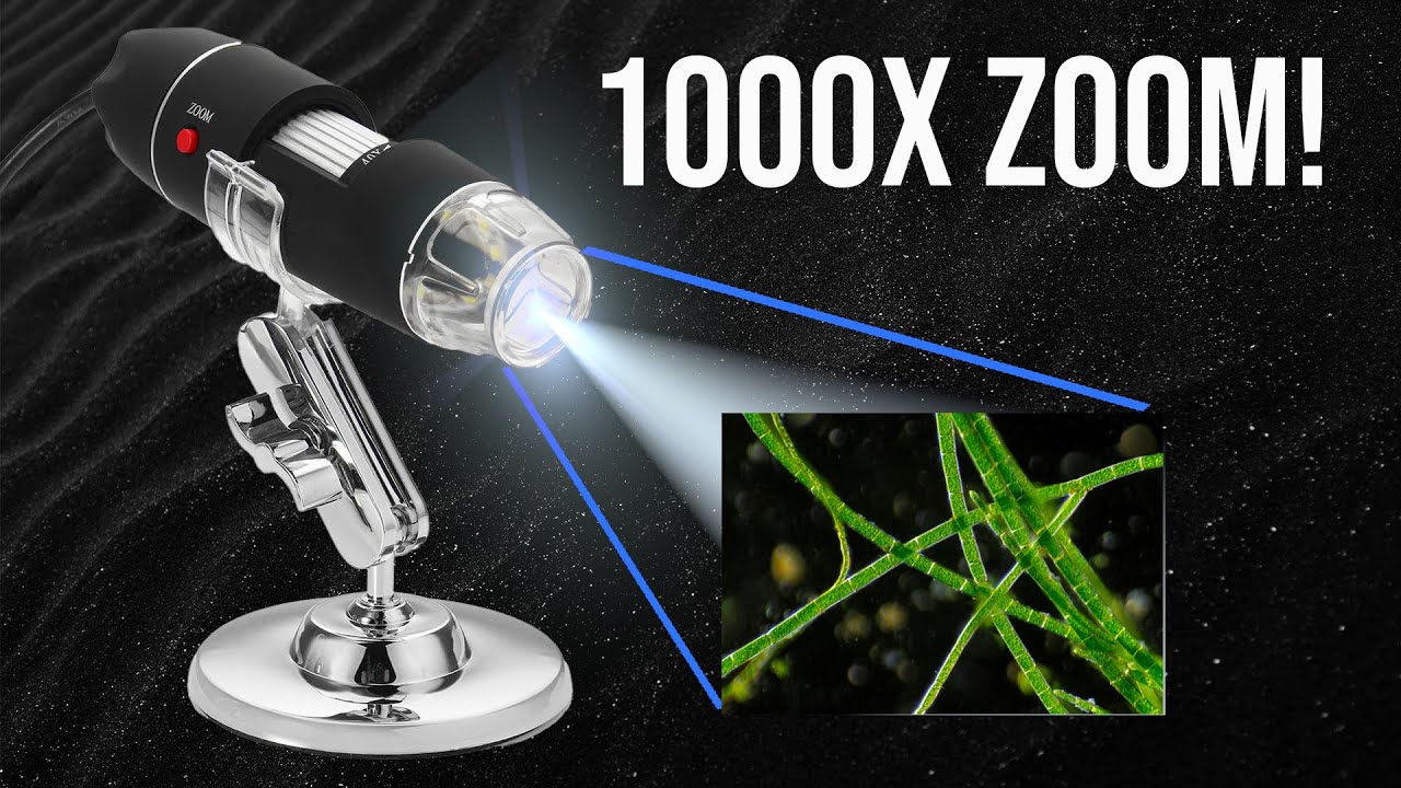 DIGITAL MICROSCOPE UNBOXING!! MICROSCOPE WITH 1000X ZOOM! | RS. 1000 ONLY!!!